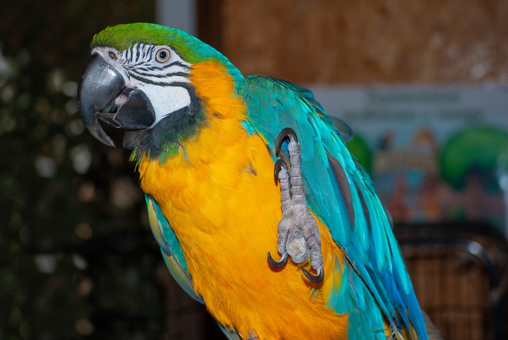 Photograph by Татьяна Гурьянова