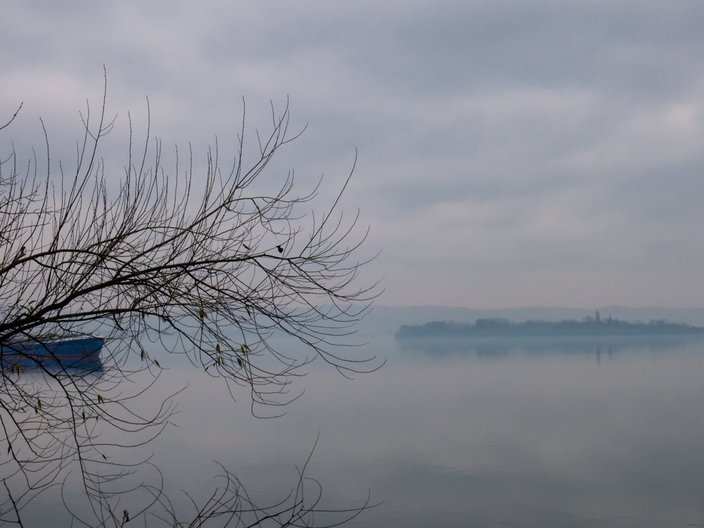 Photograph by Irina Magdalena Bivolaru