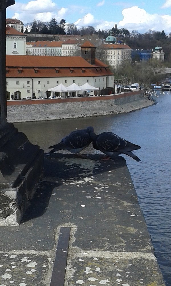 Любовь в Праге