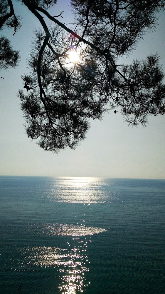 Photograph by Виктория Данилова