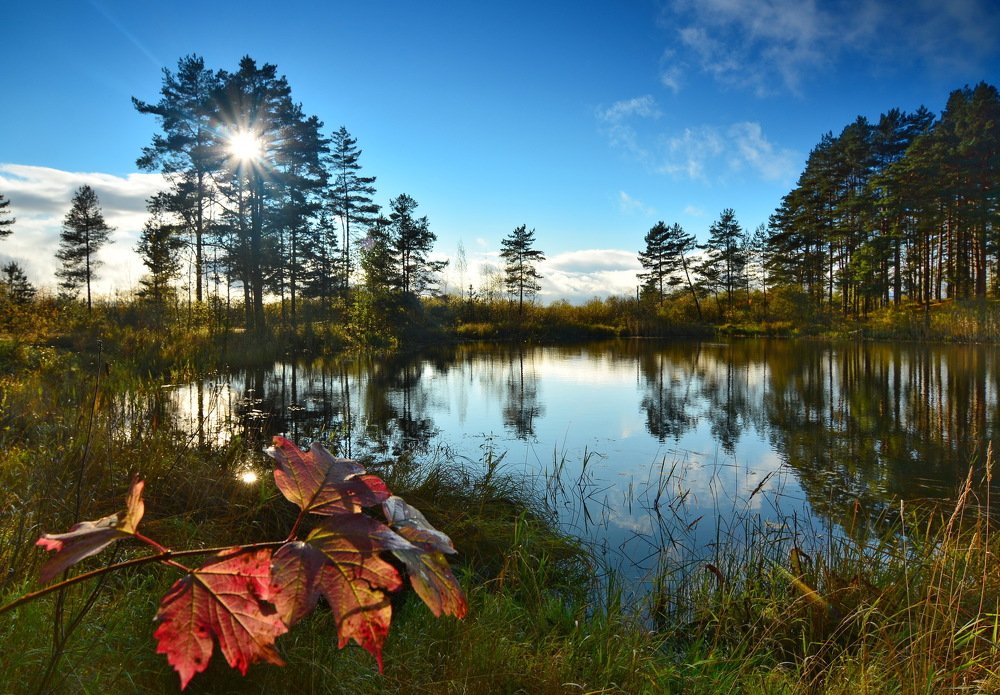Осень на оз.Селигер