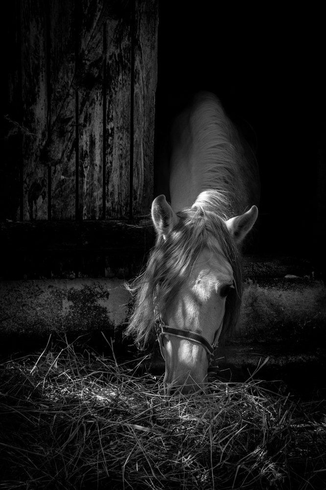 Photograph by Олег Рошковой