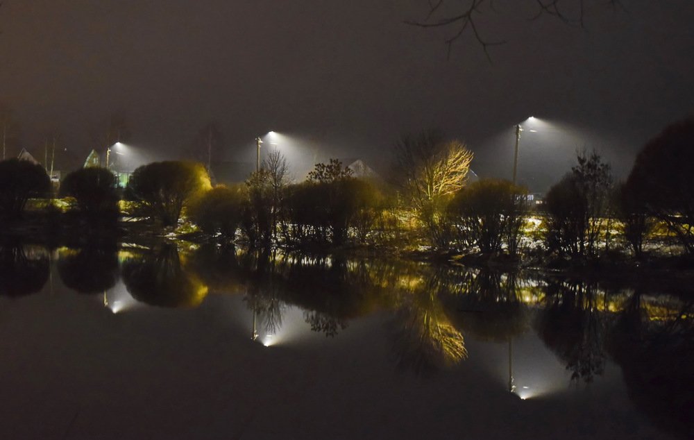 Туманный вечер у пруда.