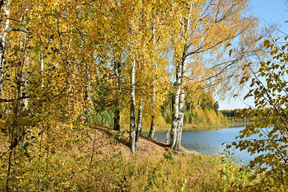 Photograph by Надежда Коновалова