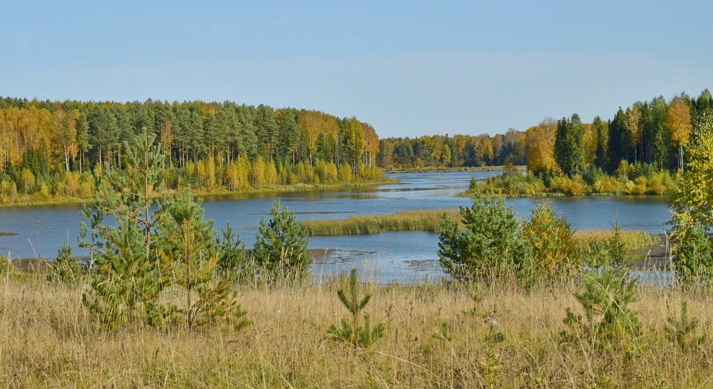 Photograph by Надежда Коновалова