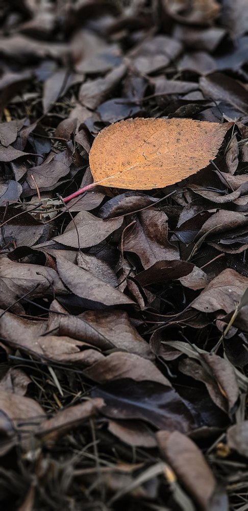 Photograph by Елена Соловьёва