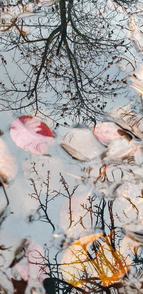 Photograph by Елена Соловьёва