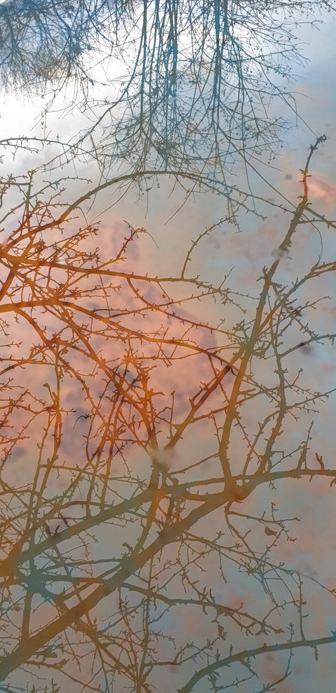 Photograph by Елена Соловьёва