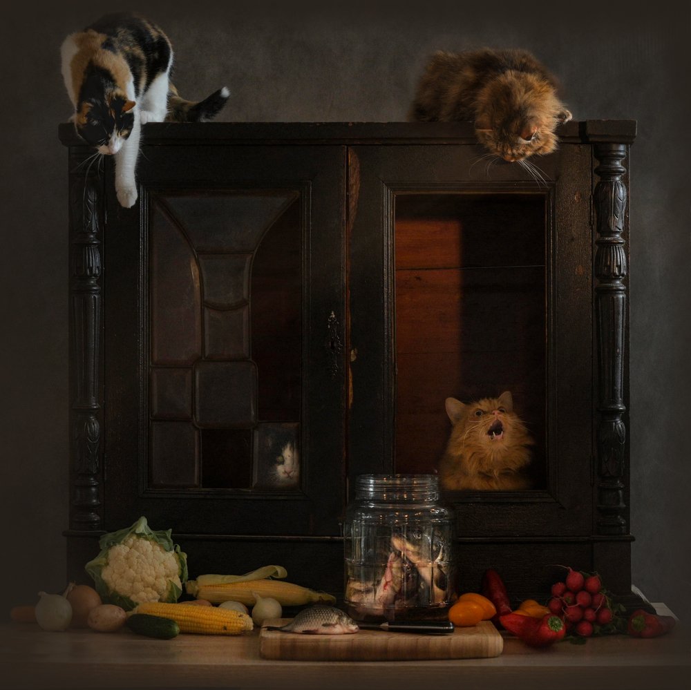 Рыбный день