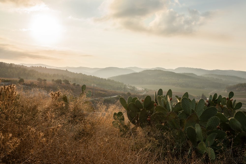 Photograph by Elena Sportes