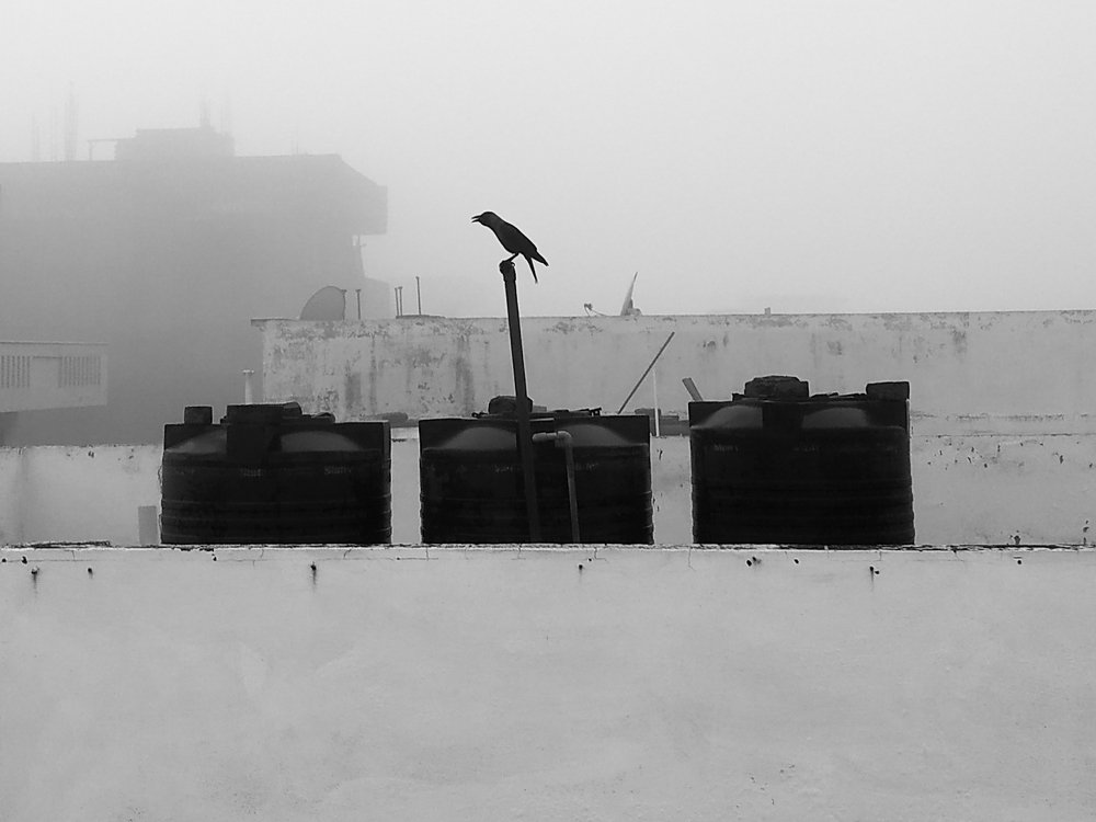 Photograph by Mohit Kumar Meena