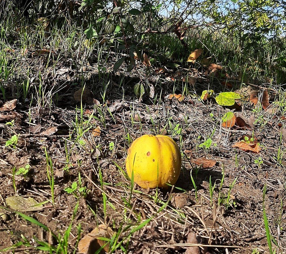 Фотография автора Kreculj Dejan