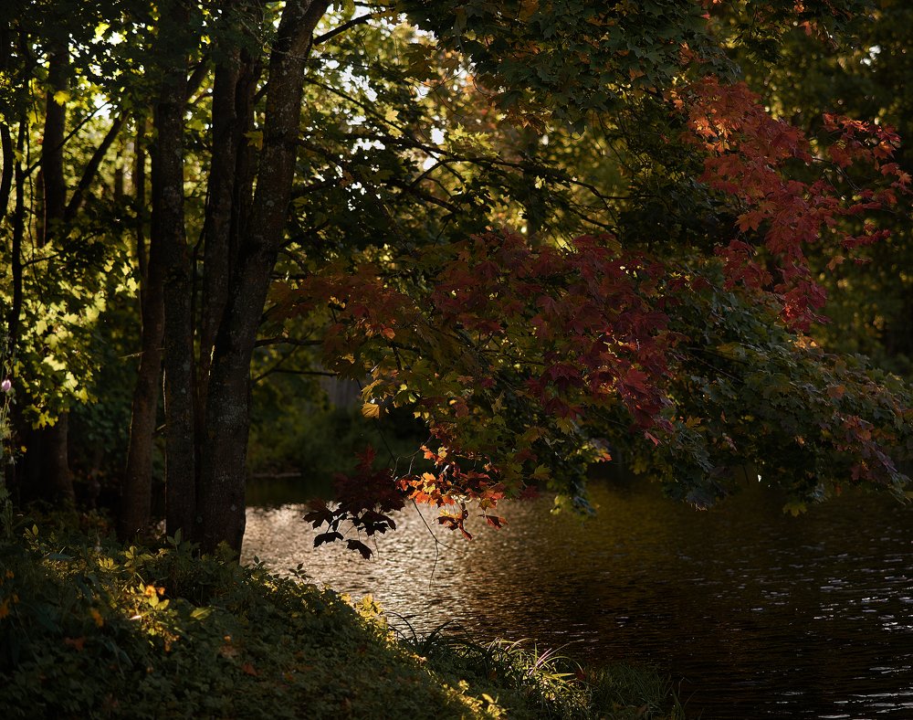 Photograph by Лариса Абрамова