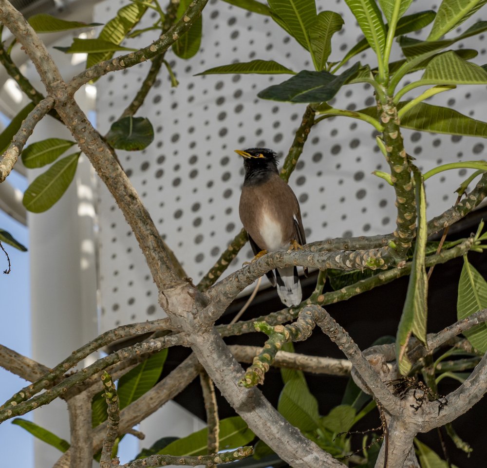 Photograph by Меркулова Наталья Геннадьевна