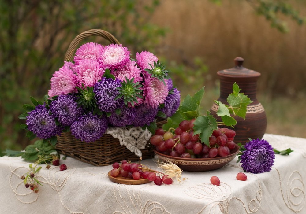 Астры..август...