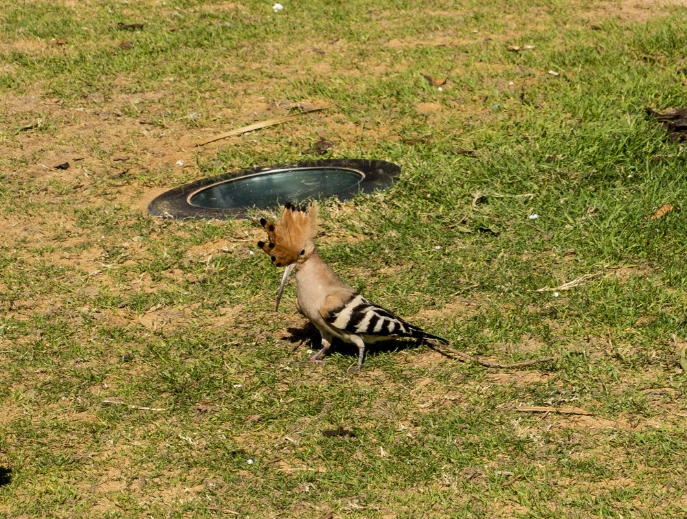 Photograph by Меркулова Наталья Геннадьевна