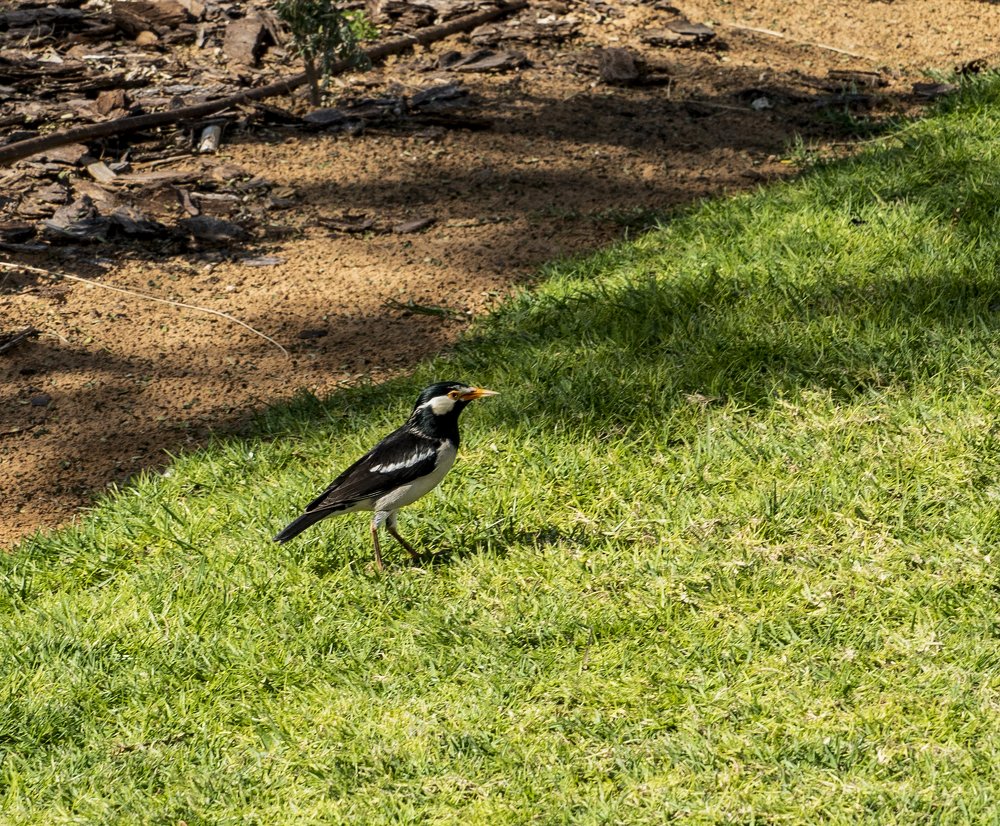 Photograph by Меркулова Наталья Геннадьевна