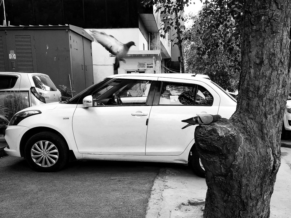 Photograph by Mohit Kumar Meena