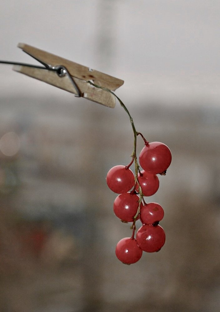 Photograph by Наталья Перерва