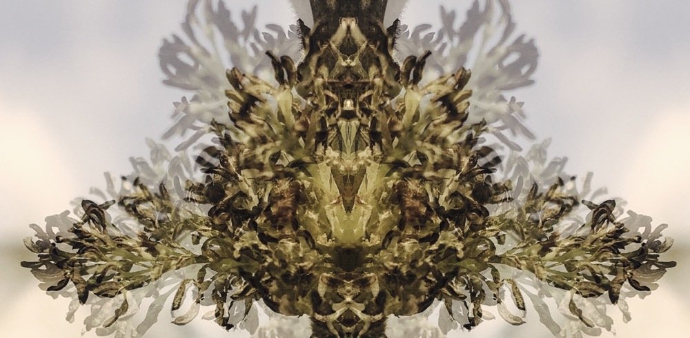 Aquashade (Акватень)