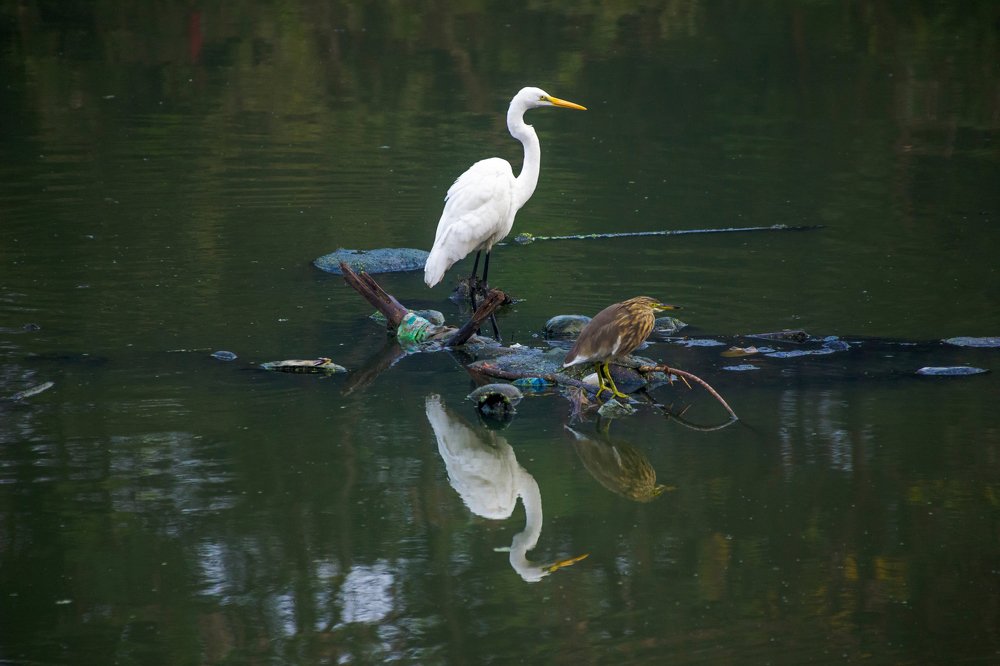 Photograph by Vivek Patil
