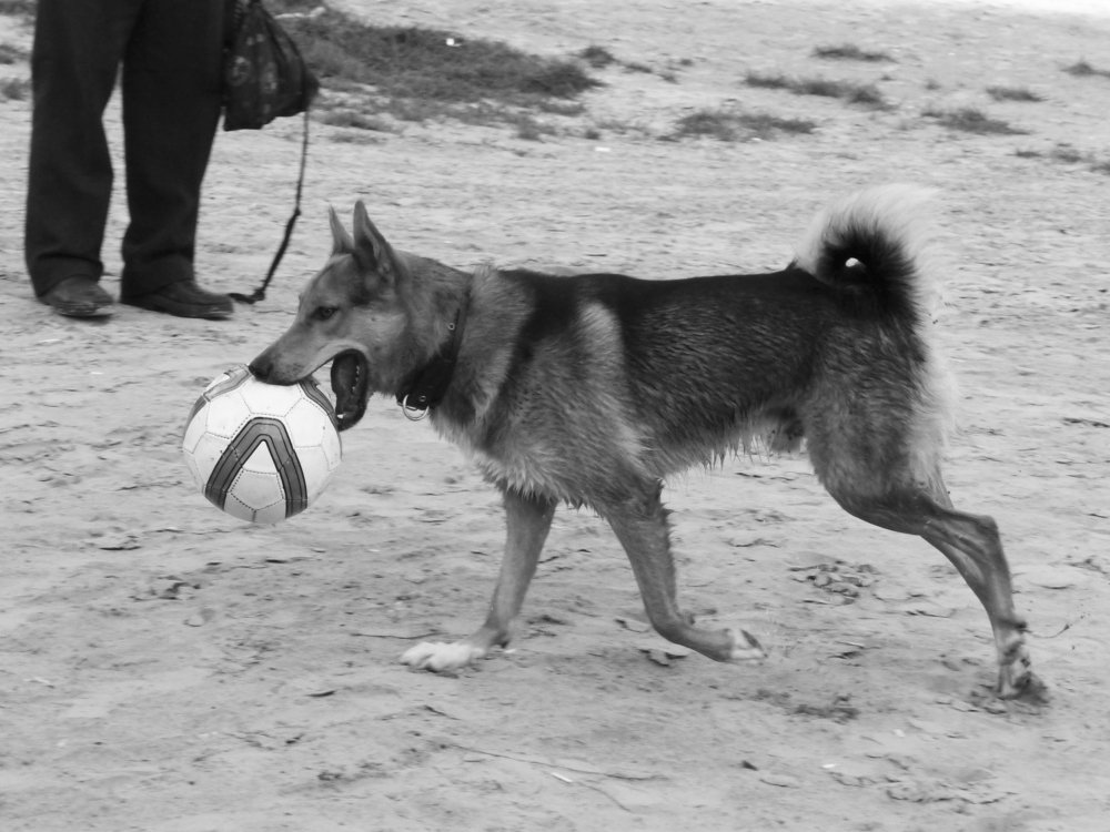 Фотография автора Клавдия Васильева