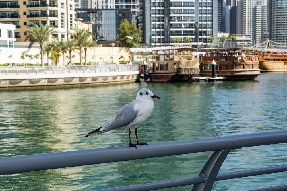 Photograph by Меркулова Наталья Геннадьевна