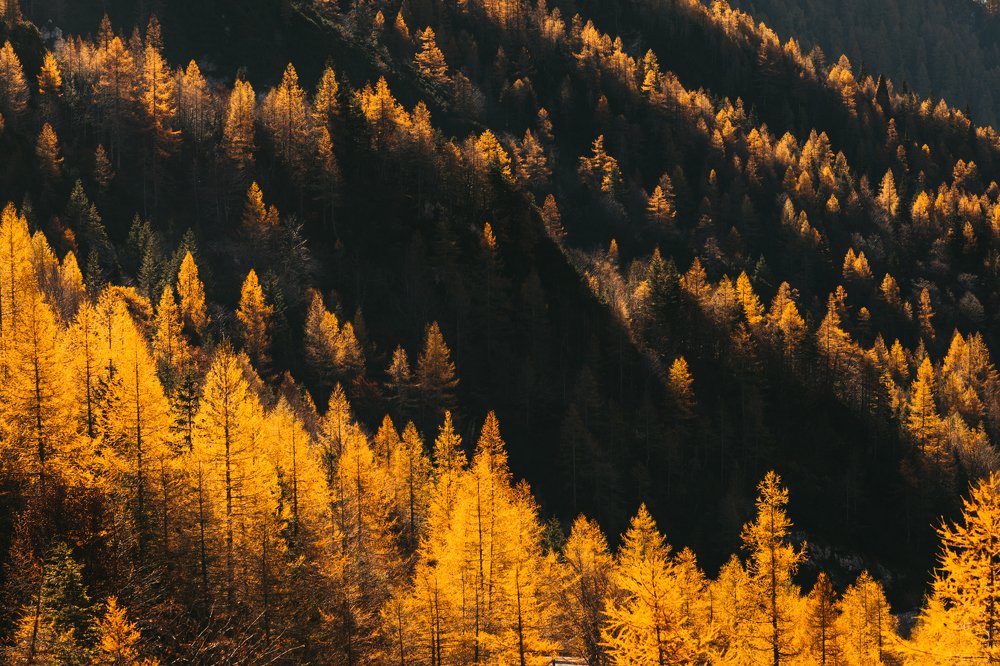 Photograph by Amadeja Knez