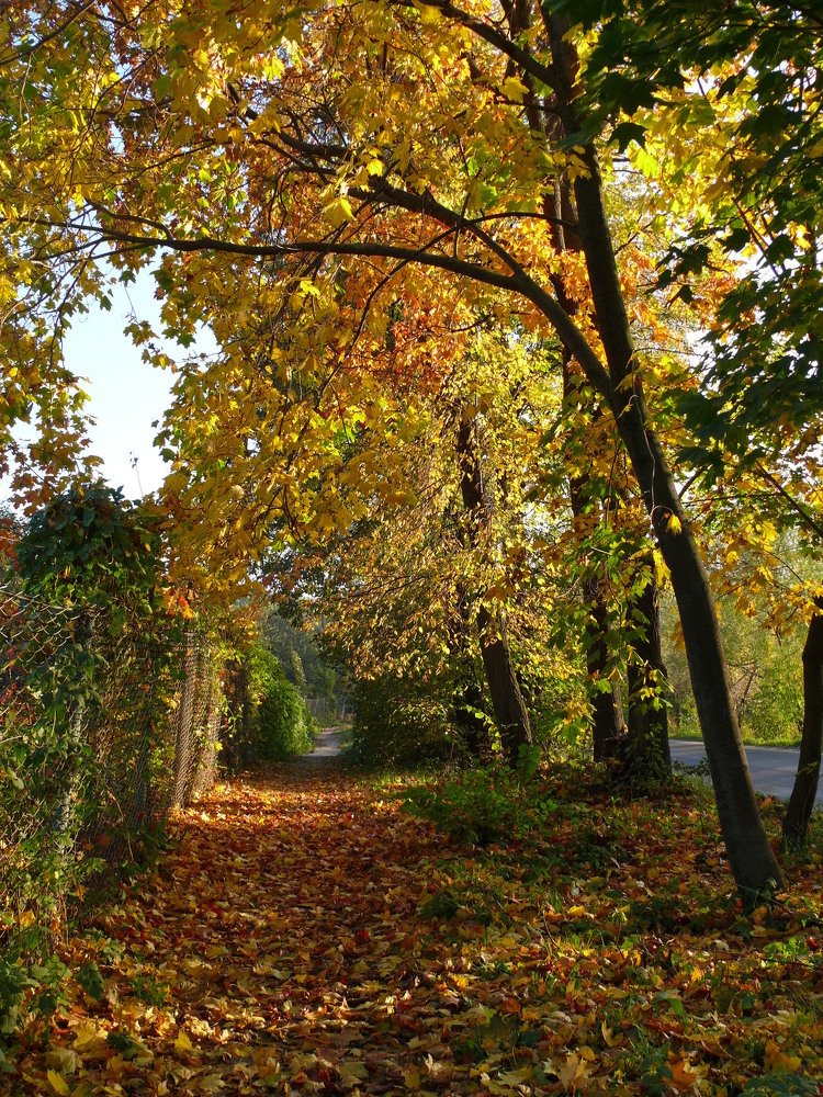 Фотография автора Клавдия Васильева