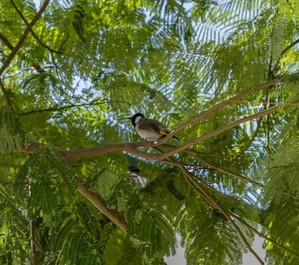 Photograph by Меркулова Наталья Геннадьевна
