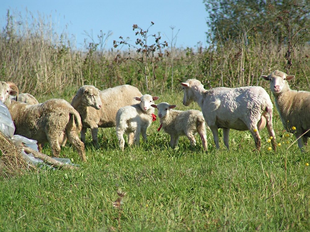 Фотография автора Клавдия Васильева