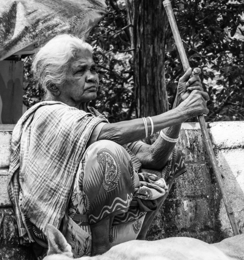 Sole company of a wooden stick.