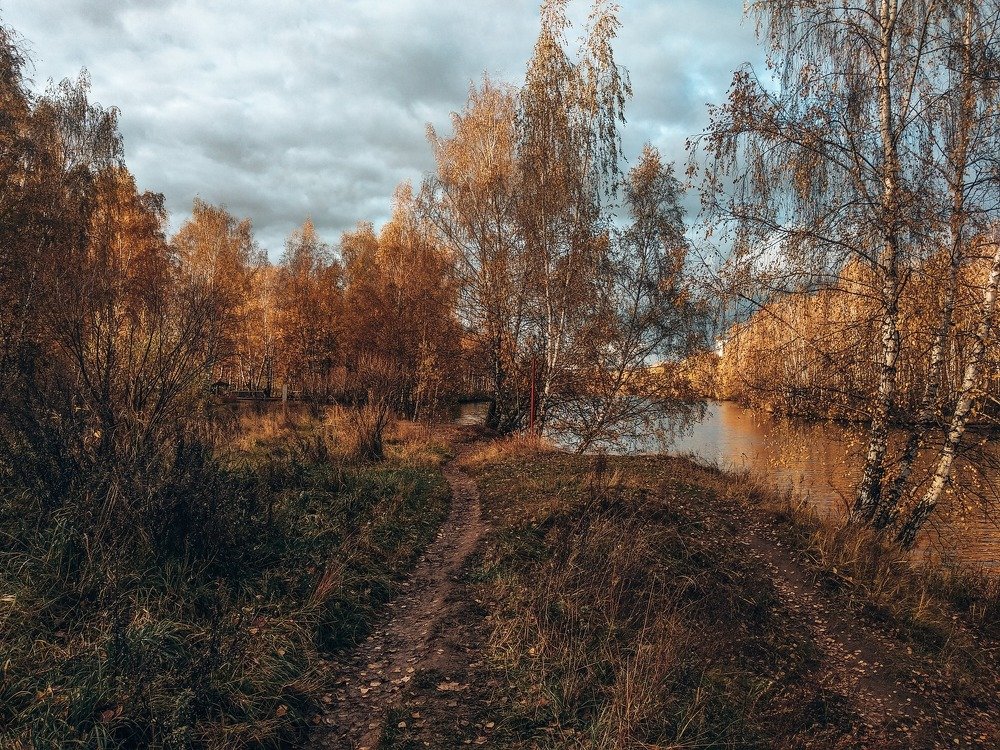 Photograph by Полина