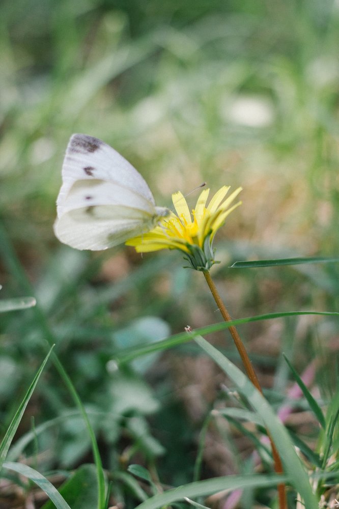 Photograph by Станислав Косматулин
