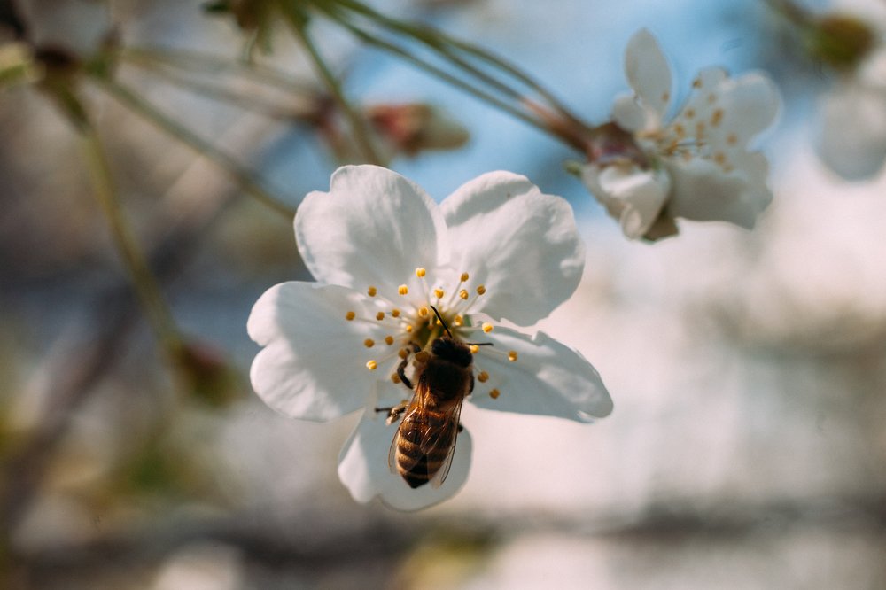 Photograph by Станислав Косматулин