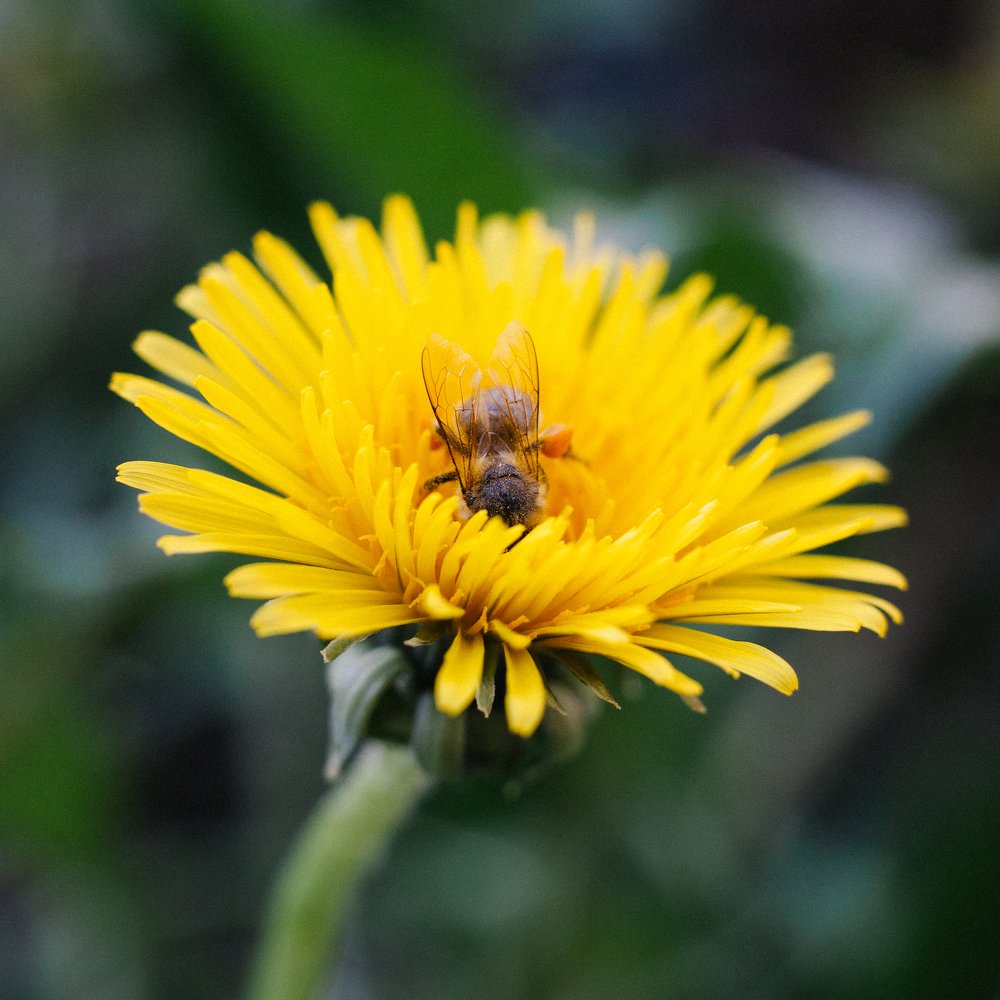 Photograph by Станислав Косматулин