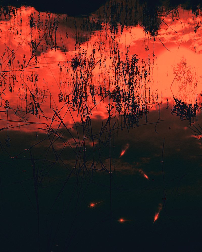 Photograph by Deasy Junita Dhani Hidayana