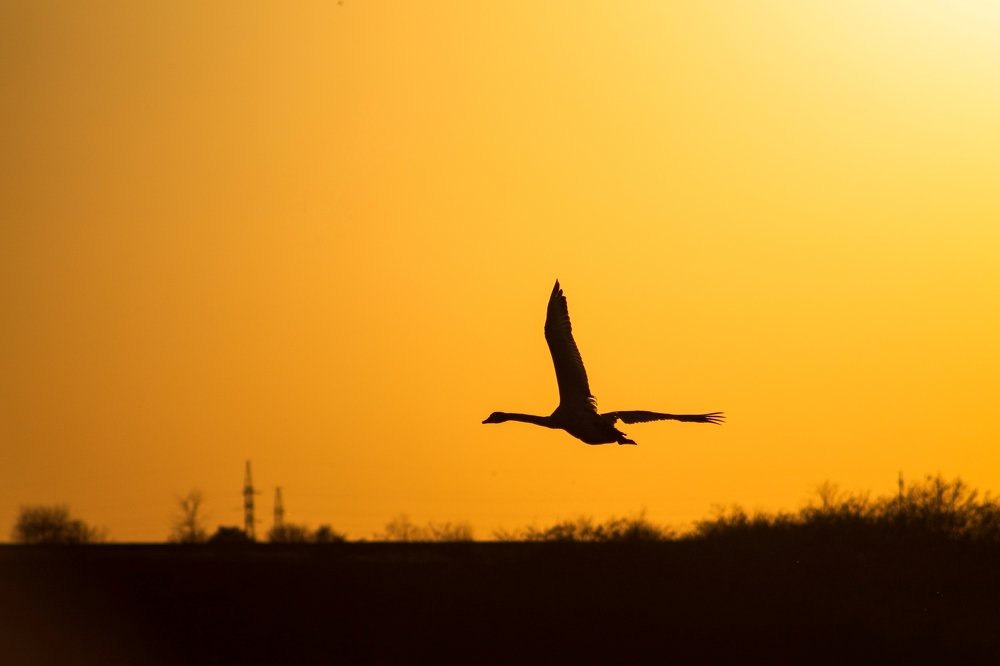 Photograph by Владислав Кулиш