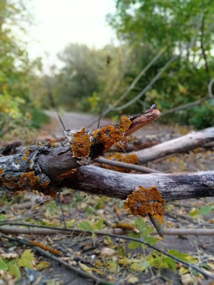 Photograph by Жанна Иванисенко