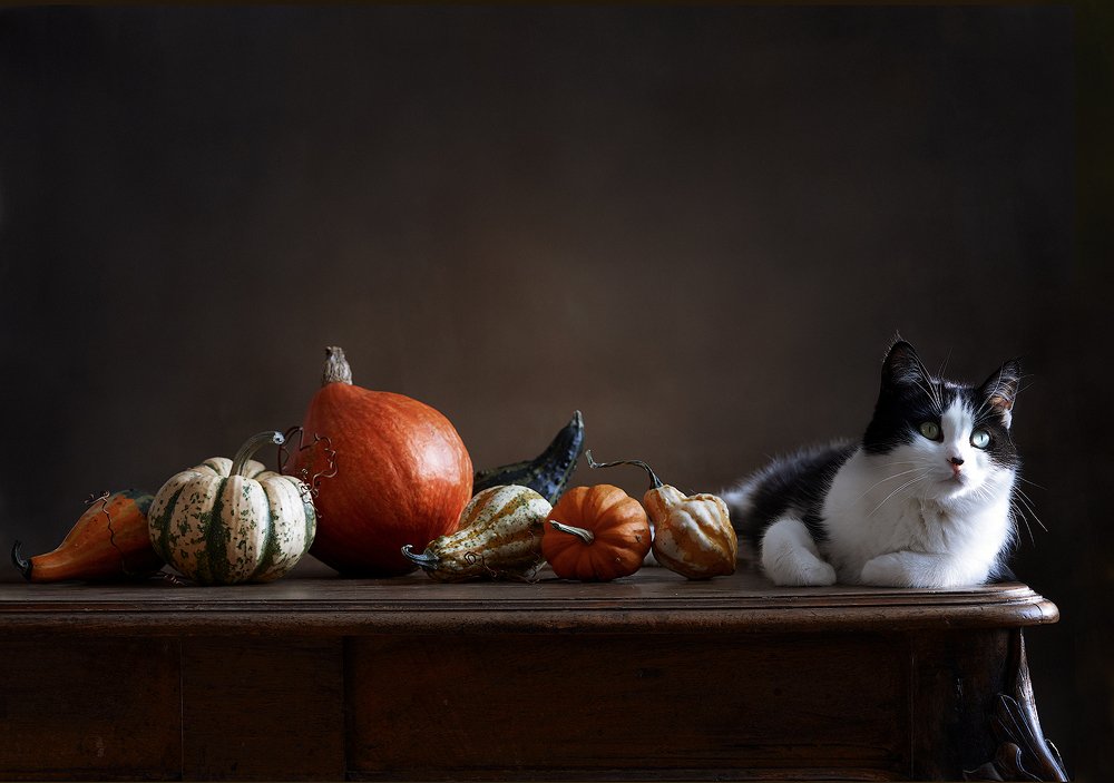 Тот еще фрукт