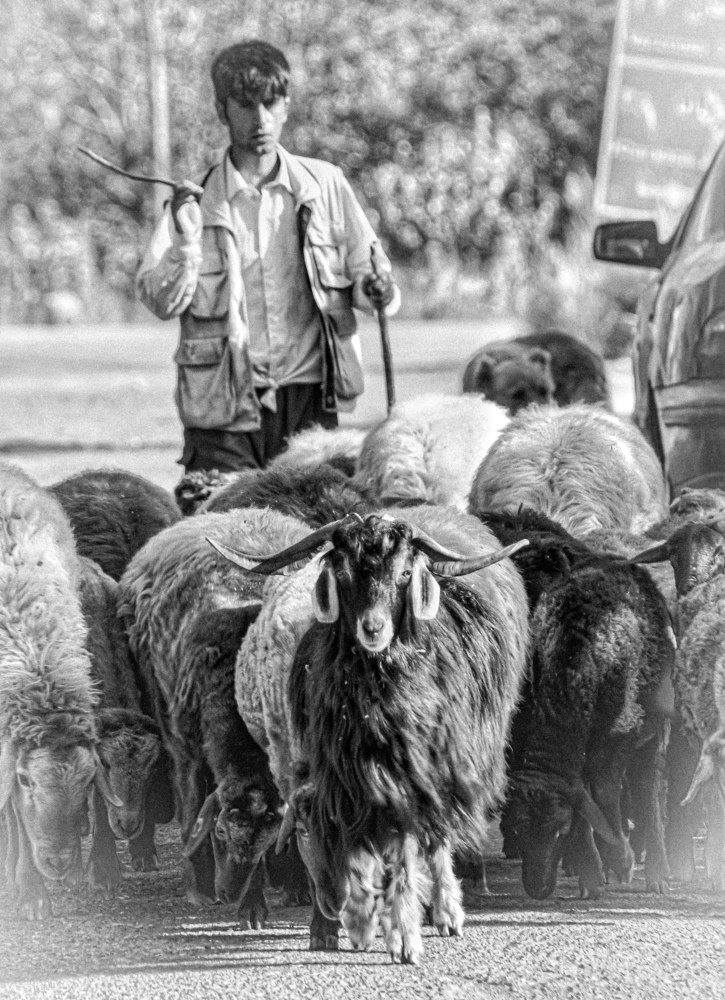 Photograph by Siavash Shomali