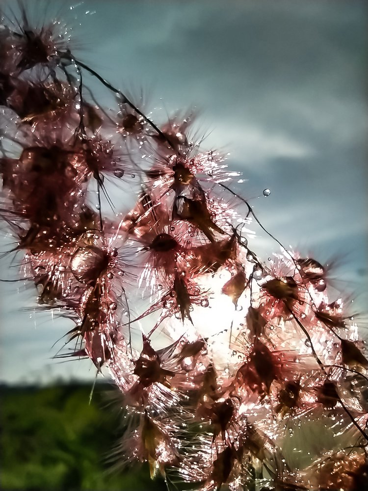 Photograph by Janine Rodríguez