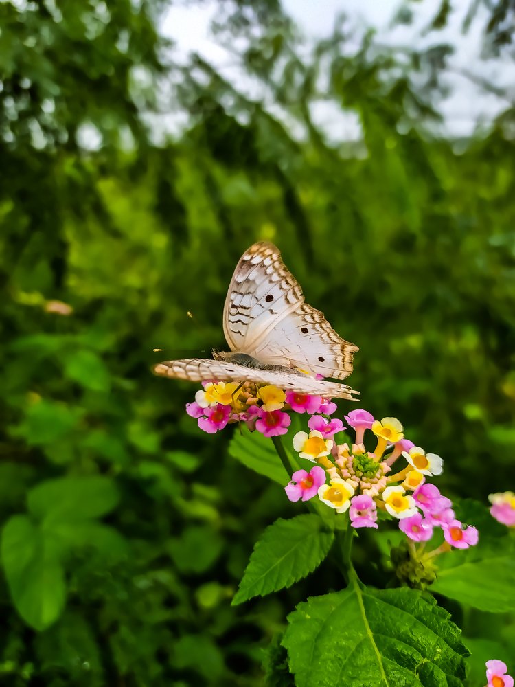 Photograph by Janine Rodríguez