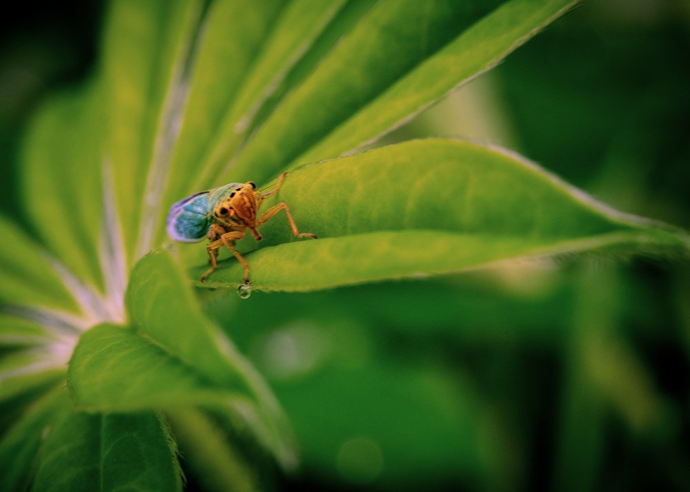 Фотография автора владимир шаронов