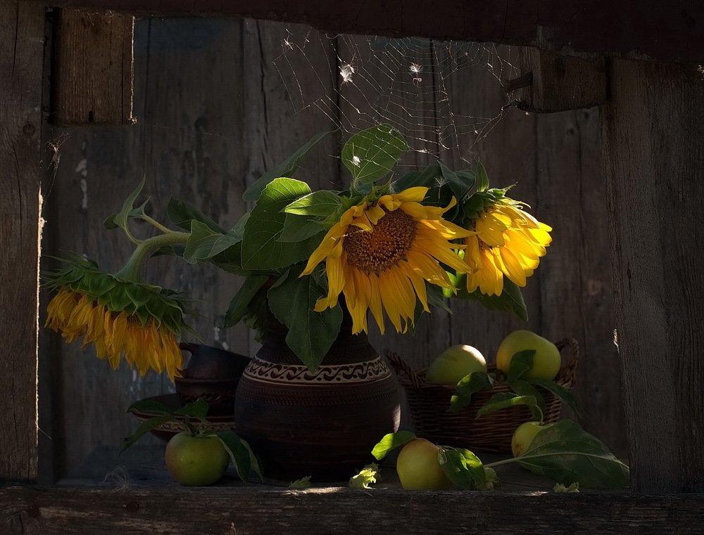 Подсолнухи...