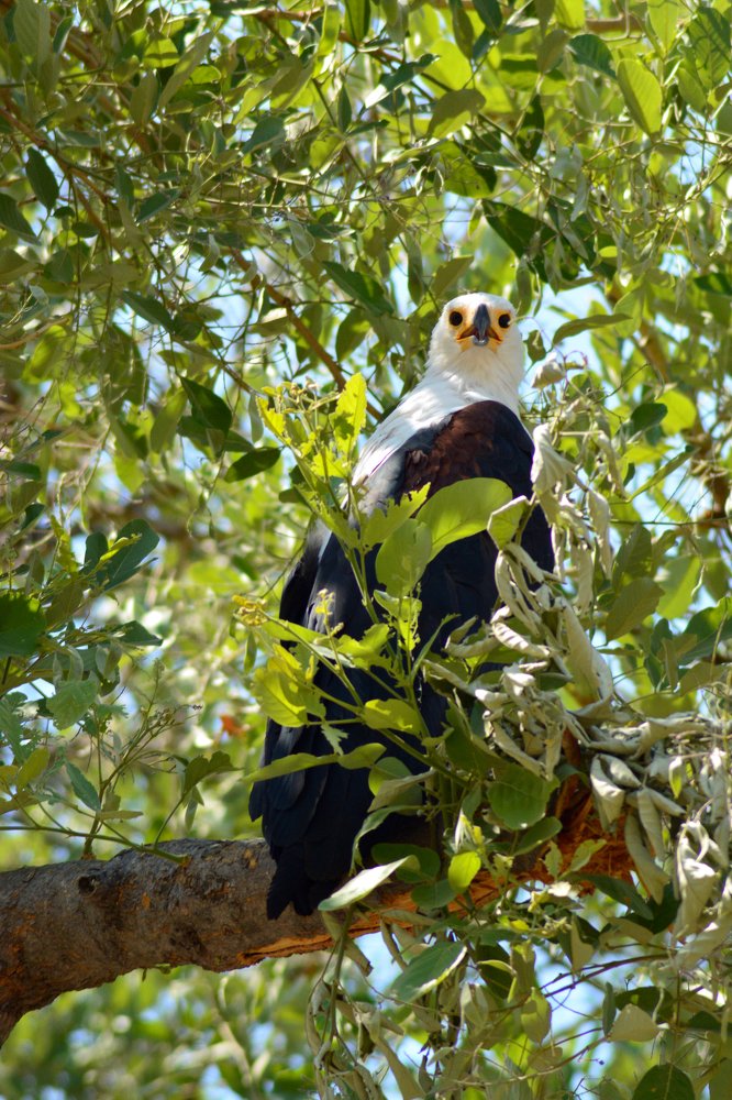 Photograph by Анатолий Орлов