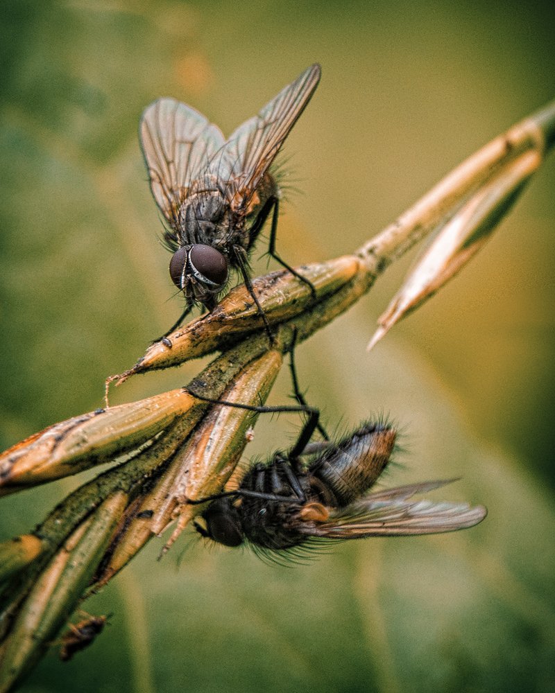 Фотография автора владимир шаронов