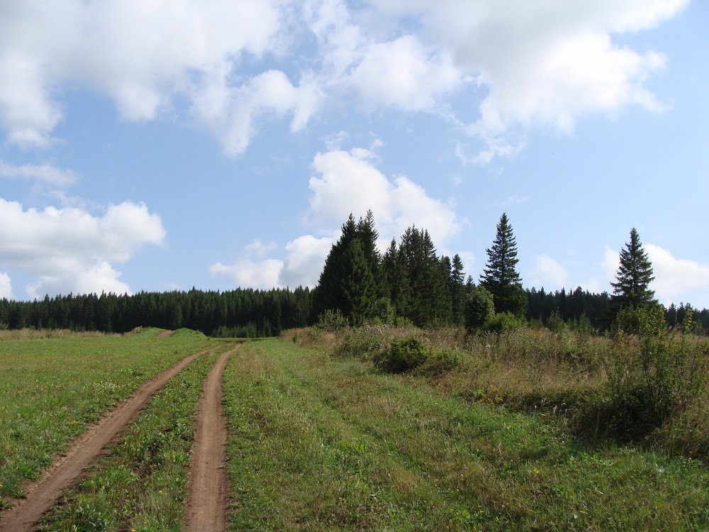 Photo #5139601