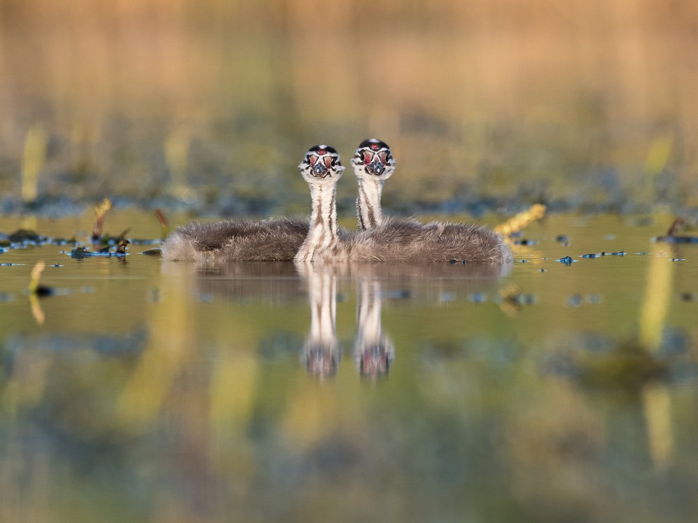 Photograph by Valerijs Bukovskis