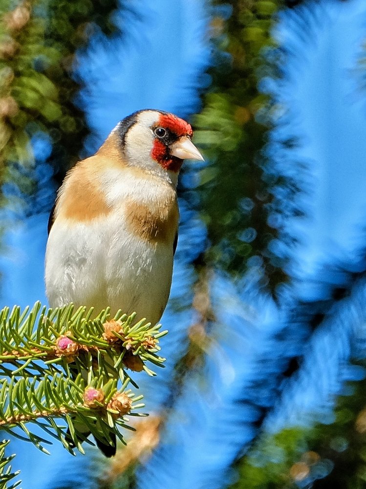 Photograph by Ján Šedivý
